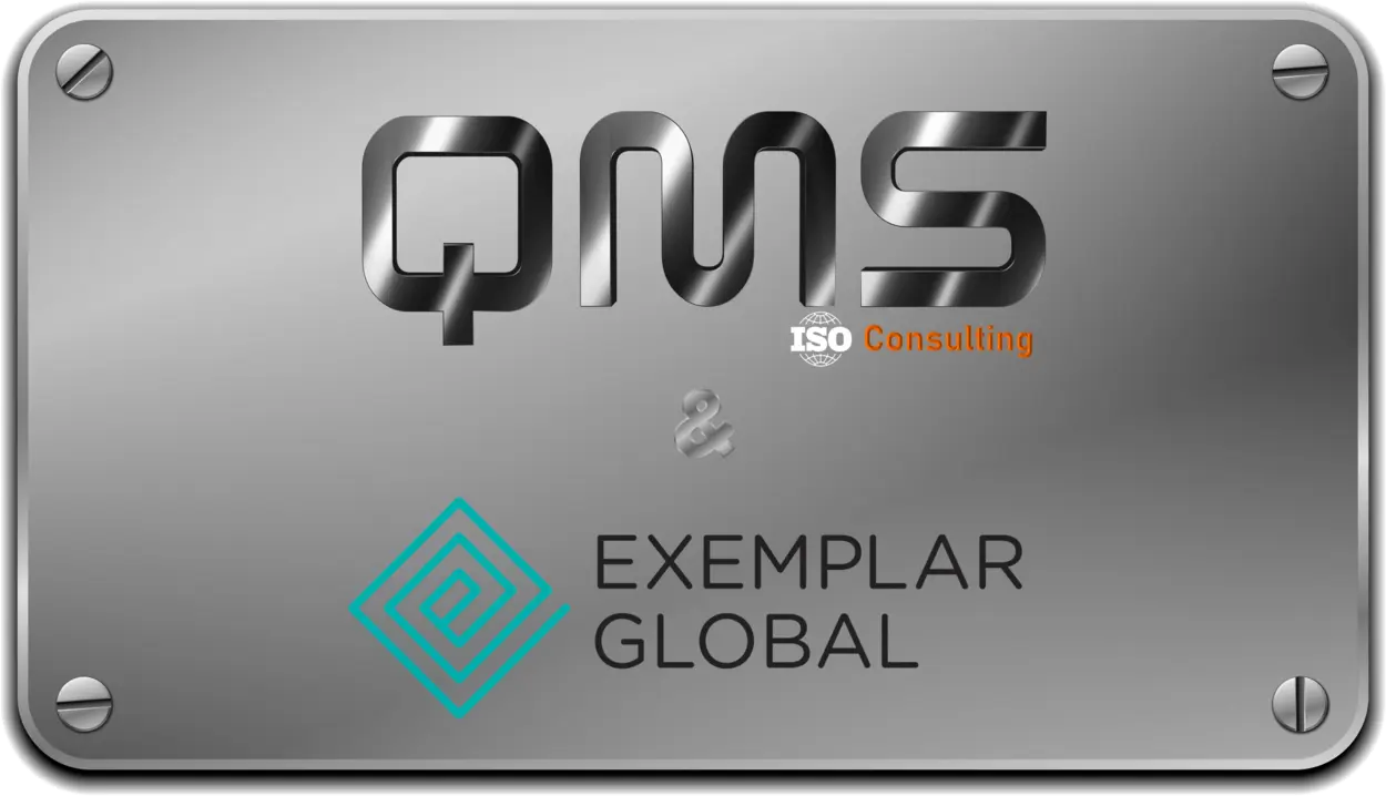 Cursuri acreditate pentru Auditor Sef cu certificare Exemplar Global in domeniul ISO